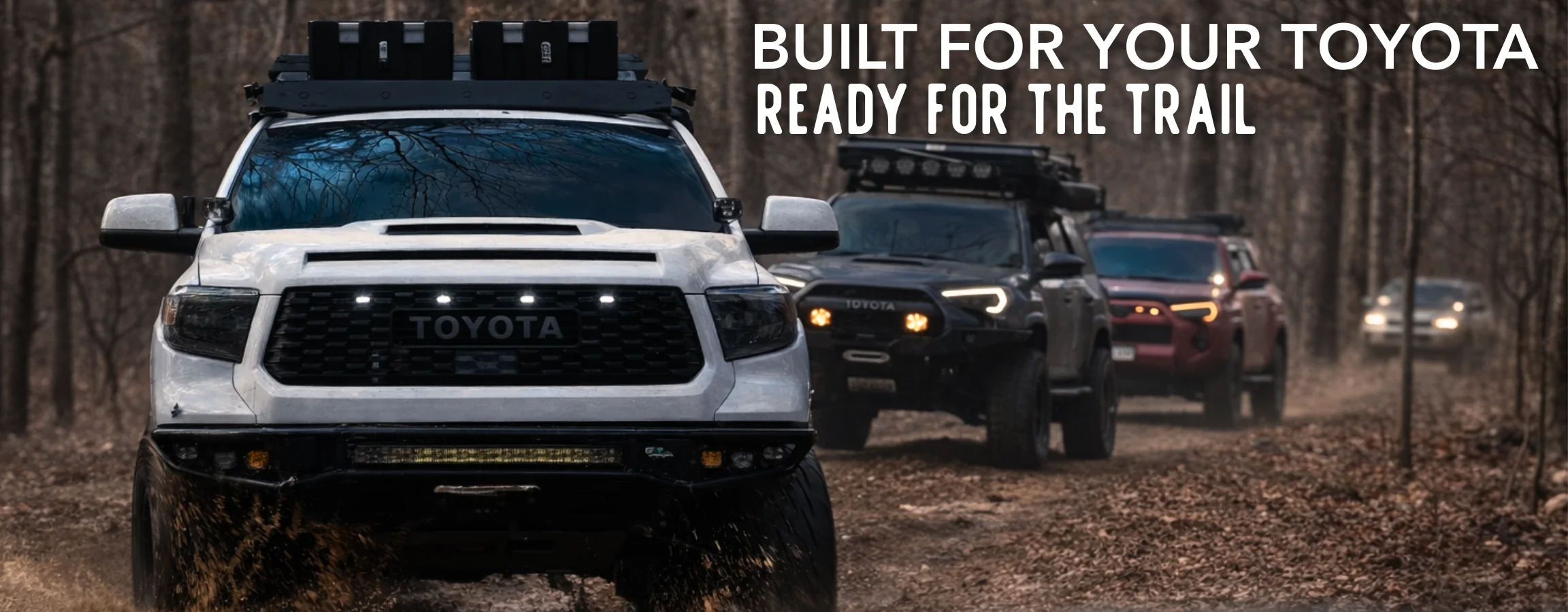 Dominate Every Trail Ahead